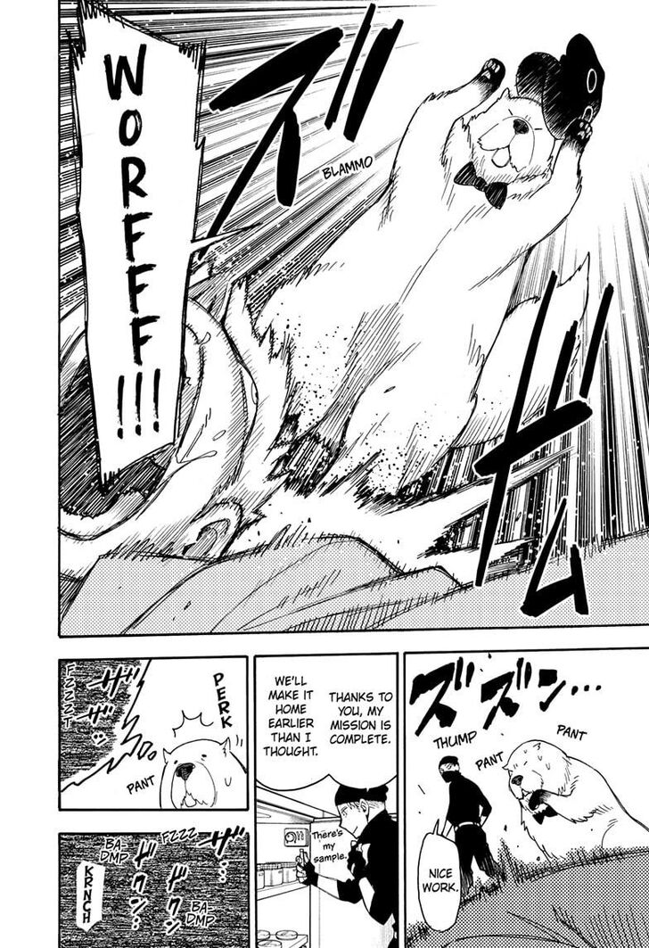 Spy x Family, Chapter 40 image 23
